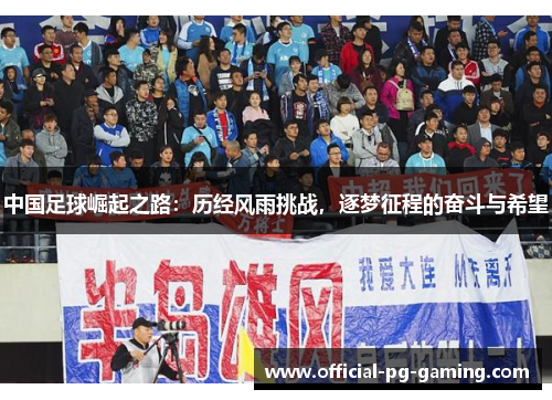 中国足球崛起之路：历经风雨挑战，逐梦征程的奋斗与希望
