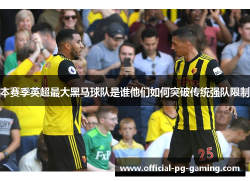 本赛季英超最大黑马球队是谁他们如何突破传统强队限制
