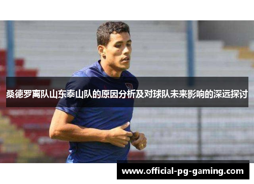 桑德罗离队山东泰山队的原因分析及对球队未来影响的深远探讨