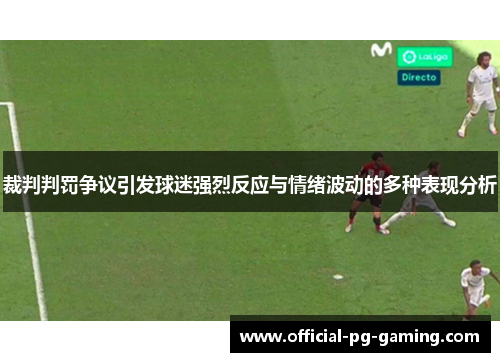裁判判罚争议引发球迷强烈反应与情绪波动的多种表现分析