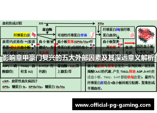 影响意甲豪门复兴的五大外部因素及其深远意义解析 影响意甲豪门复兴的五大外部因素及其深远意义解析